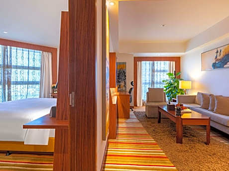 Premier Suite with One Single Bed and City View