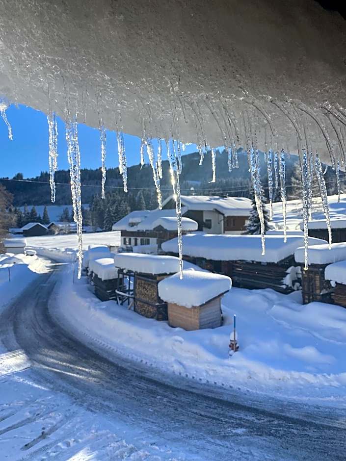 Nagelfluhhaus Hirsch