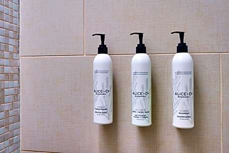 King Studio with Trundle Bed and City View