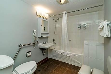 1 Queen Bed, Nonsmoking, Accessible