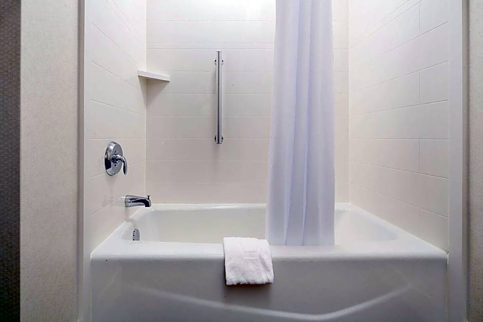 Hampton Inn By Hilton & Suites Dallas Downtown