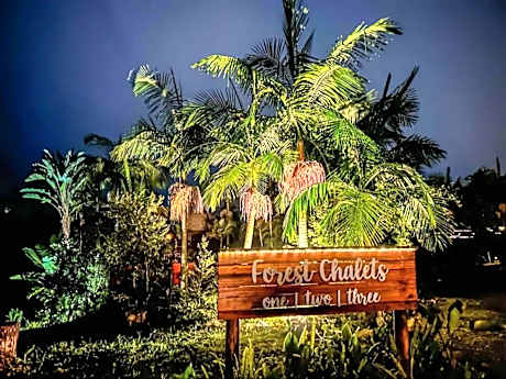 Adventurer's Escape HQ