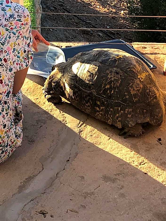 Zwartberg View Mountain Lodge