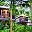 Daintree Eco Lodge & Spa