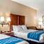 Comfort Inn & Suites Hamburg - Buffalo South