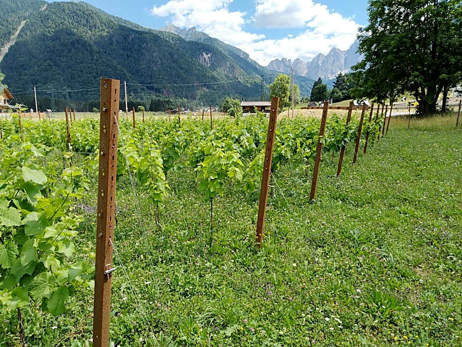 Affittacamere Krajnc