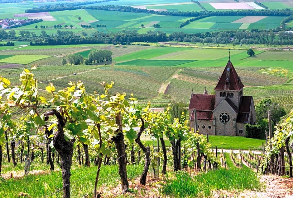 Hofgut Wißberg - Das Weinberghotel