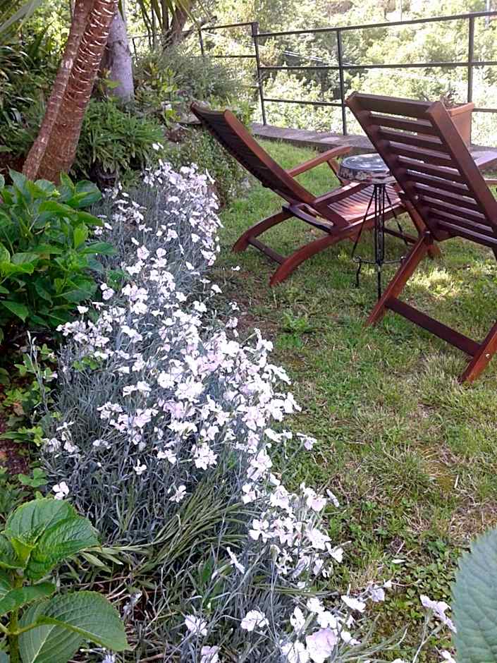 B&B I Glicini
