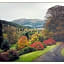 Hillside Log cabin, Ardoch Lodge, Strathyre