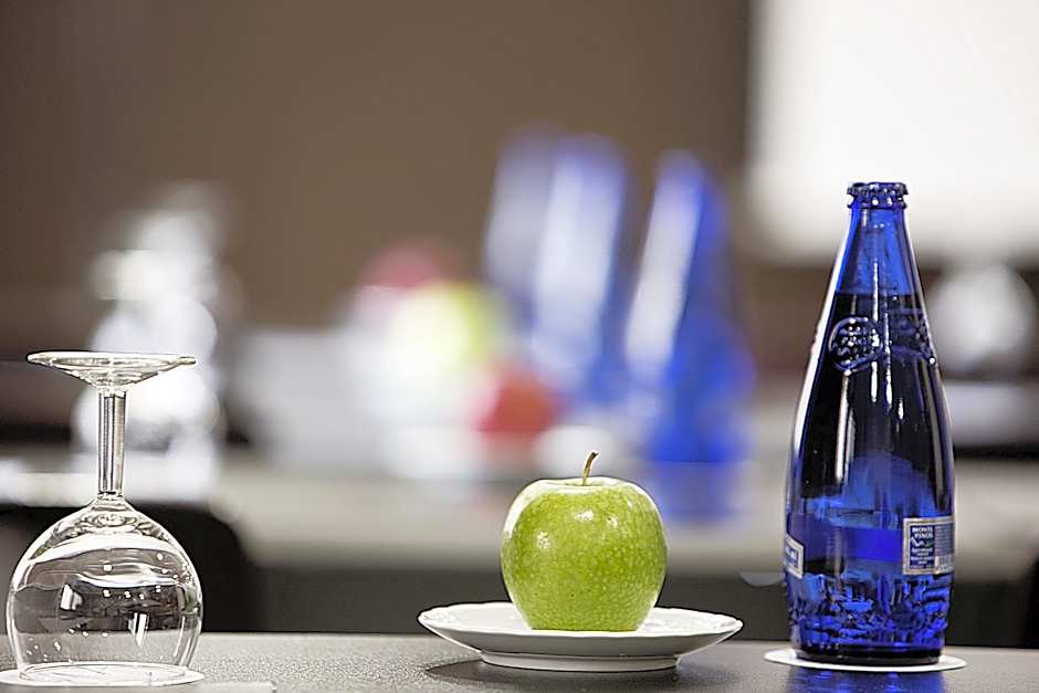 Hotel Chamartin The One