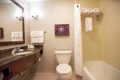 2 Queen Beds Evolution Room