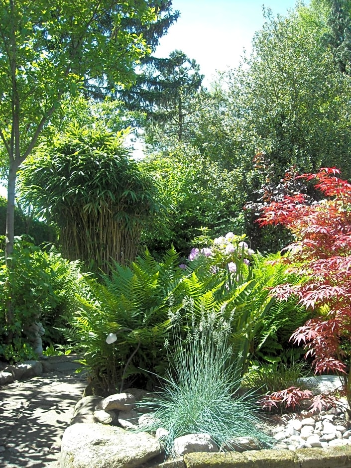 Logies Het Tuinhuisje