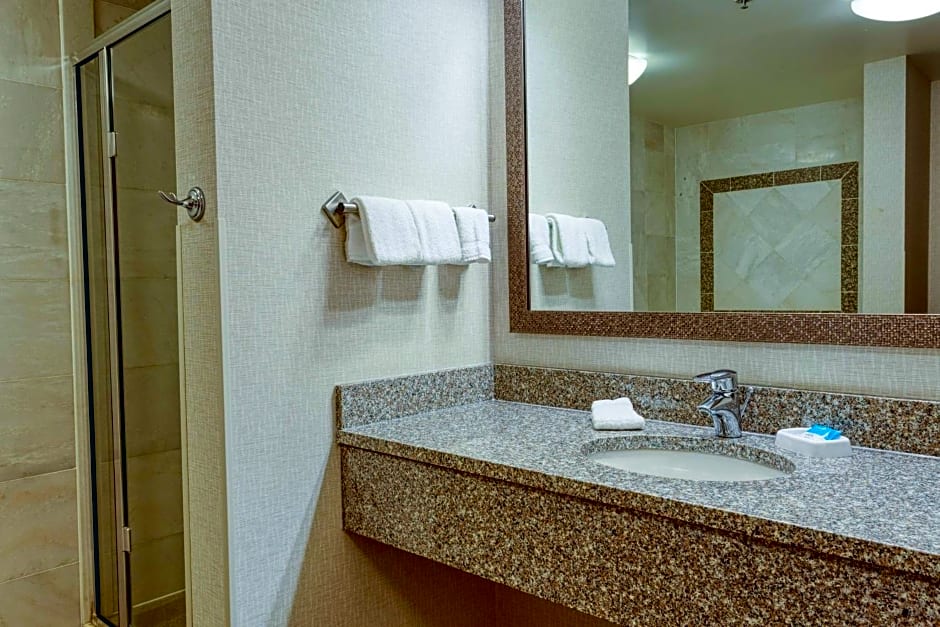 DRURY INN & SUITES INDIANAPOLIS NORTHEAST