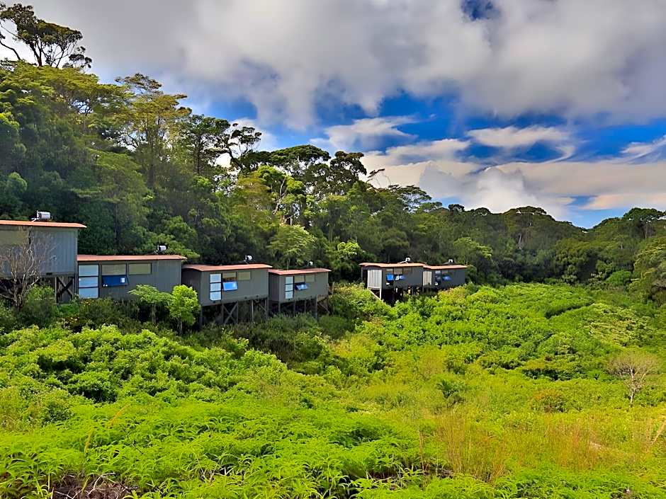 The Rainforest Ecolodge