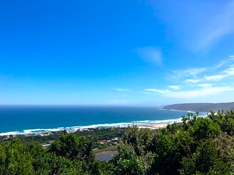 Forest Hill Wilderness