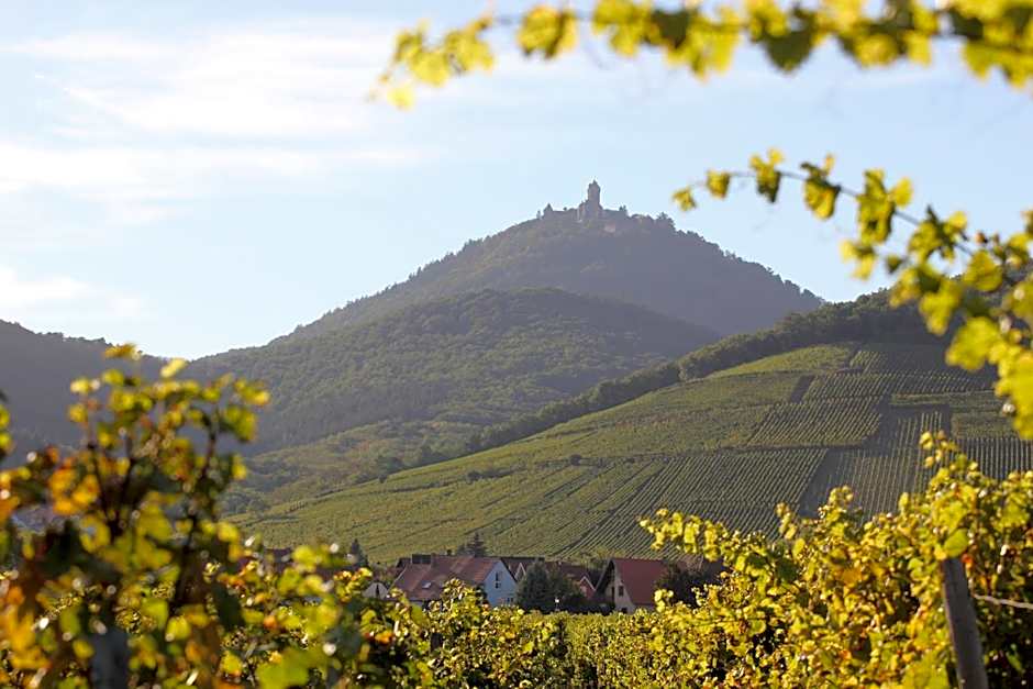 Ibis Budget Sélestat