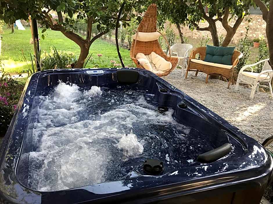 Il giardino dei limoni