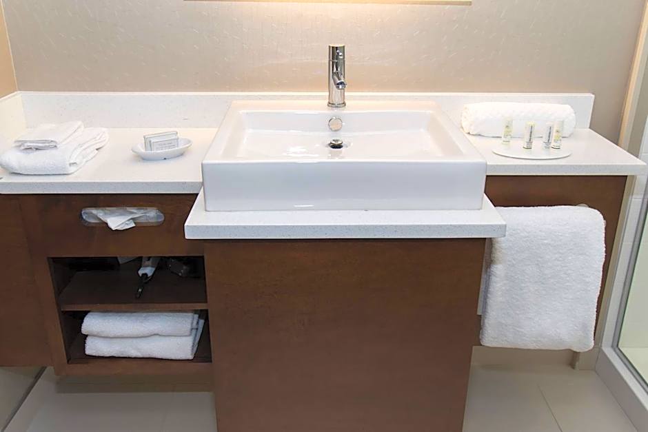 SpringHill Suites by Marriott Charlotte Ballantyne