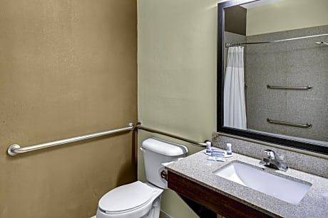 Room, 1 King Bed