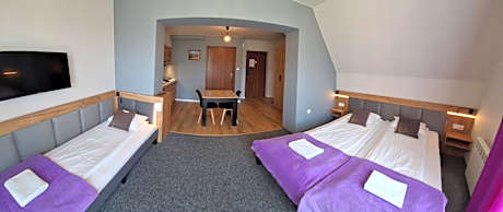 Apartment with Mountain View