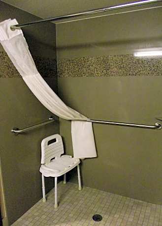 King Room with Walk-in Shower - Mobility Accessible/Non-Smoking