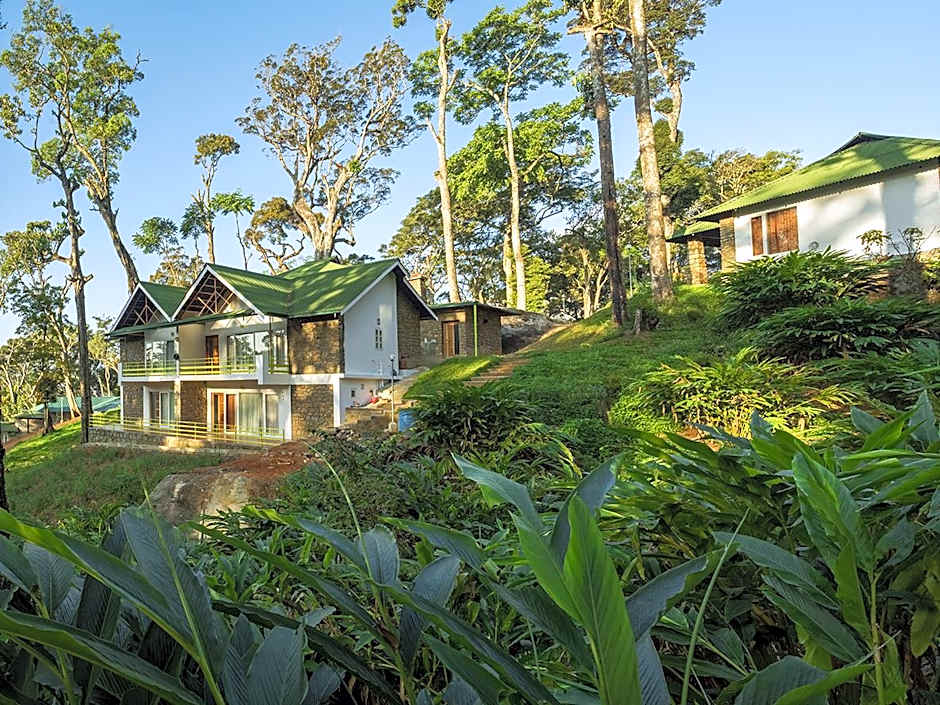 Neelakurunji Plantation Munnar