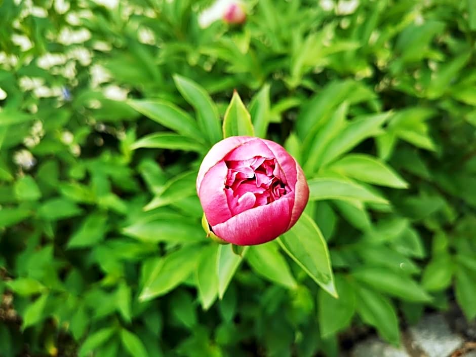 Haus der Begegnung Heilig Geist