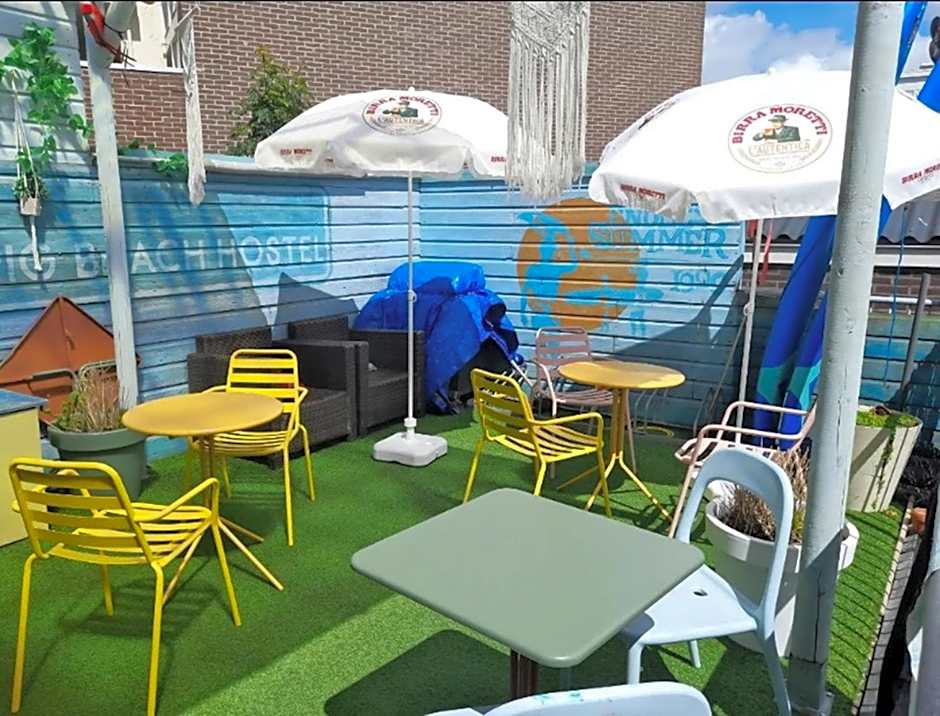 The Flying Pig Beach Hostel Age 18 to 40