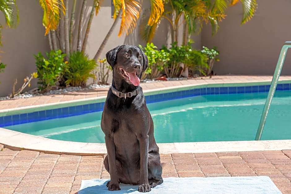 Residence Inn by Marriott Tampa Oldsmar