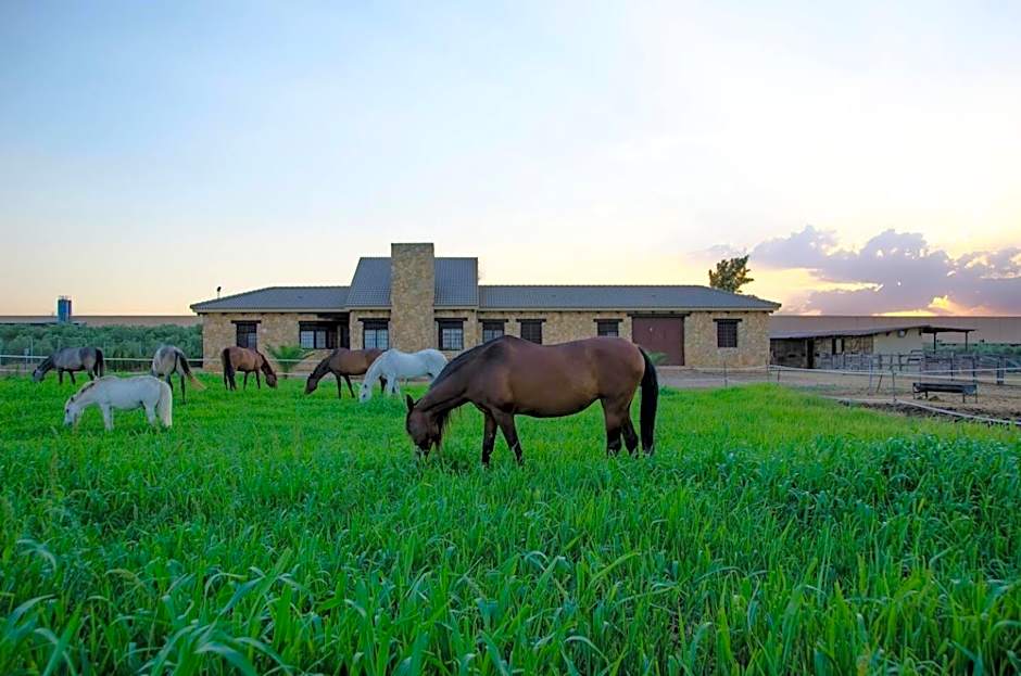 Casa Ecuestre Carmen Martínez