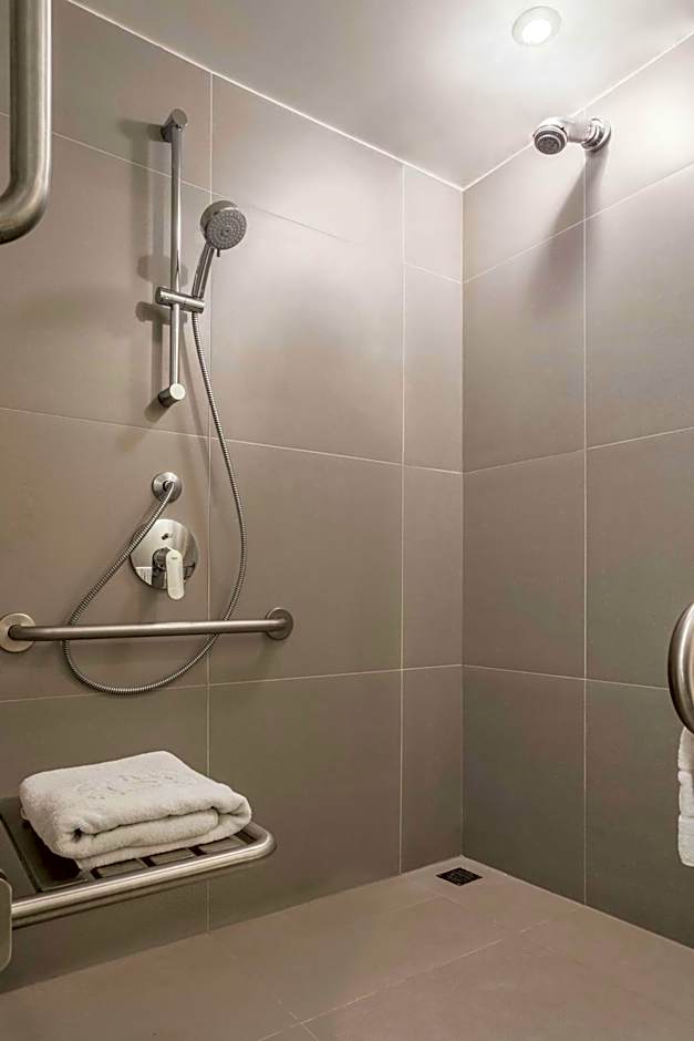 Sheraton Santiago Hotel and Convention Center