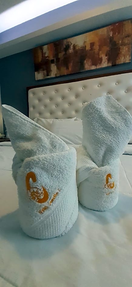 Hotel Camila 2