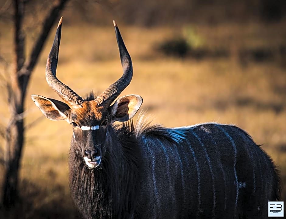Geluksfontein Private Game Farm