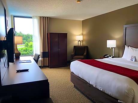 King Room - Non-Smoking