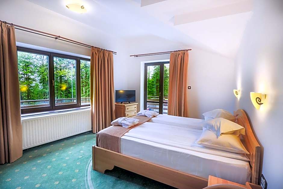 Hotel Casa Viorel jacuzzi & saunas