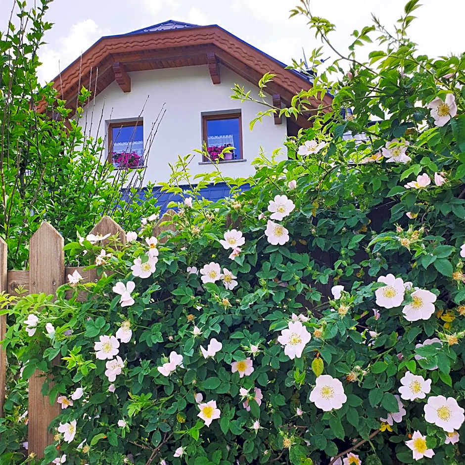 Al sentiero di Charly