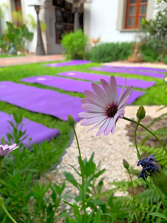 Hotel Dos Patios, Holistico Boutique & SPA