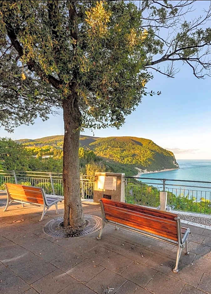 Affittacamere Villa Zelinda