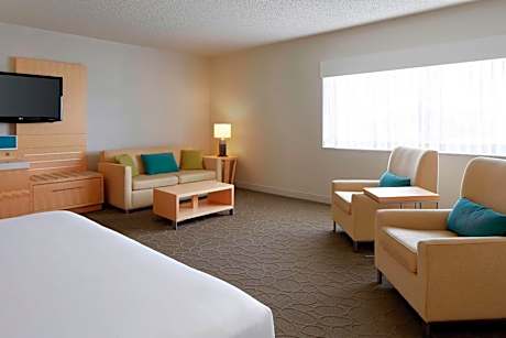 Standard 1 King City View