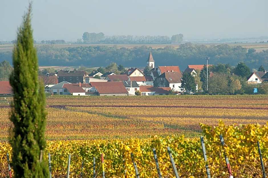 Gästehaus & Weingut PETH