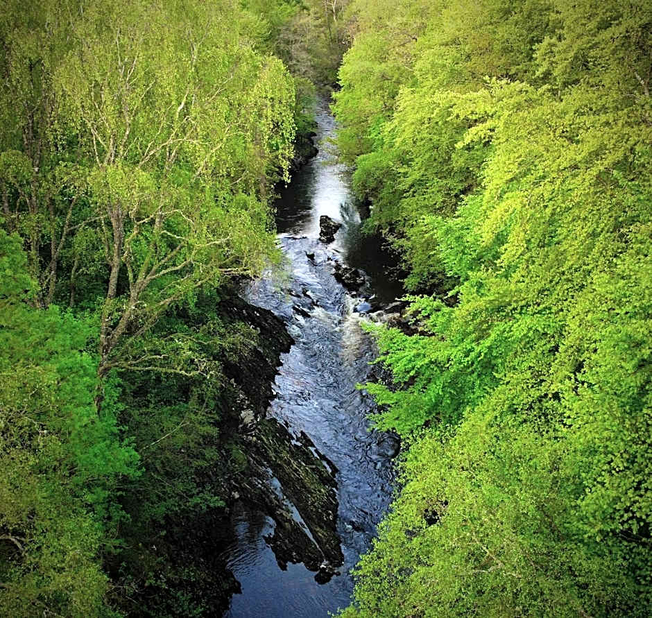Birchbank Bed and Breakfast in Birchbank Guest House