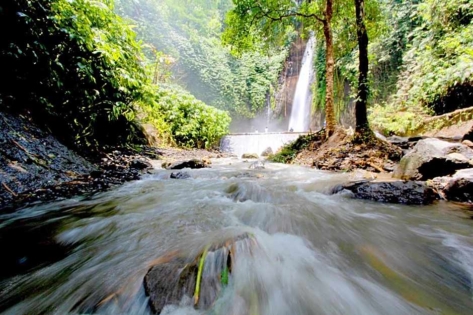 Bali Bening