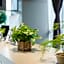 ibis Styles Suzhou Science and Technology Hotel