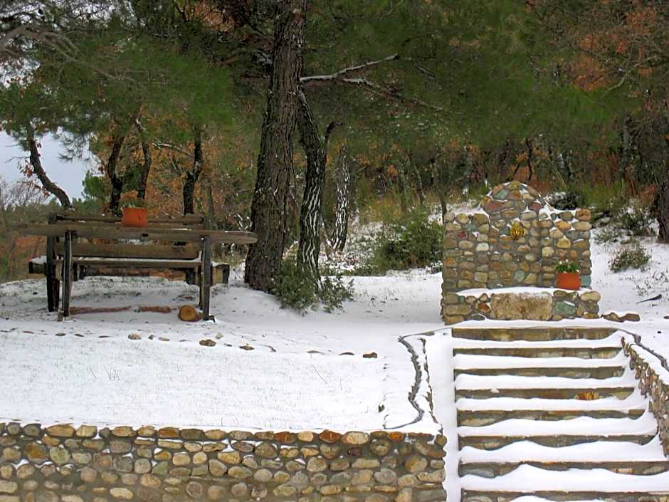 Apolithomeno Dasos Holiday Villas near Alexandroupolis