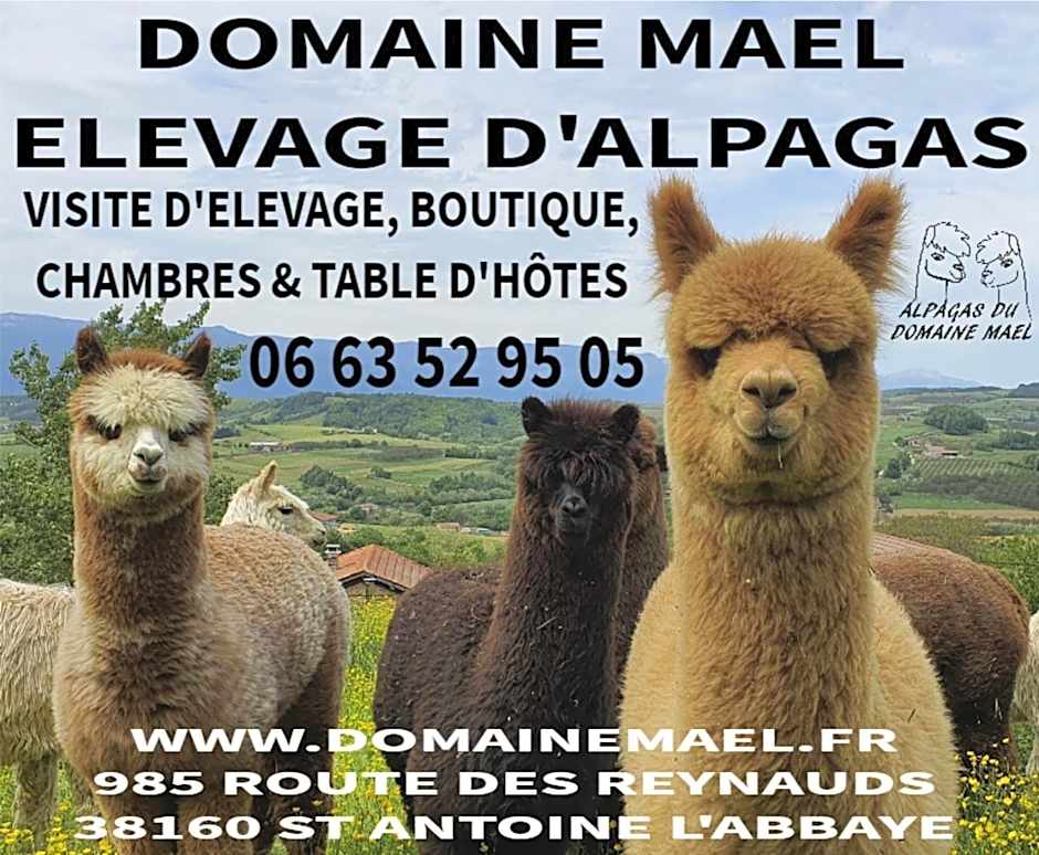ALPAGAS DU DOMAINE MAEL
