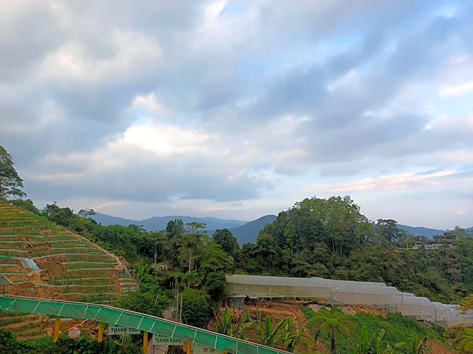 Cameron Highlands Blueberry Earth House