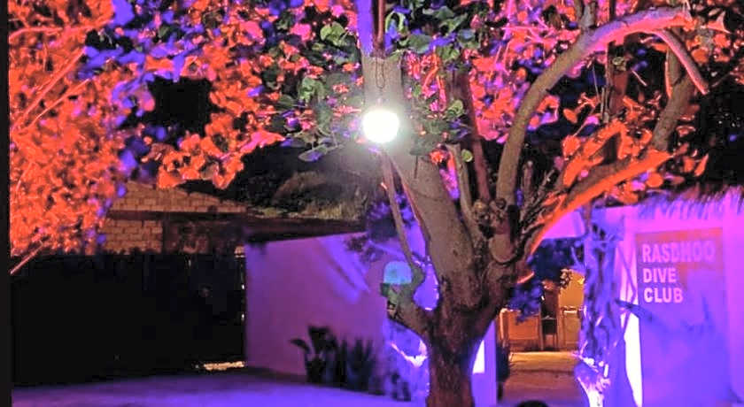 Summer Vibes Beach Front Maldives