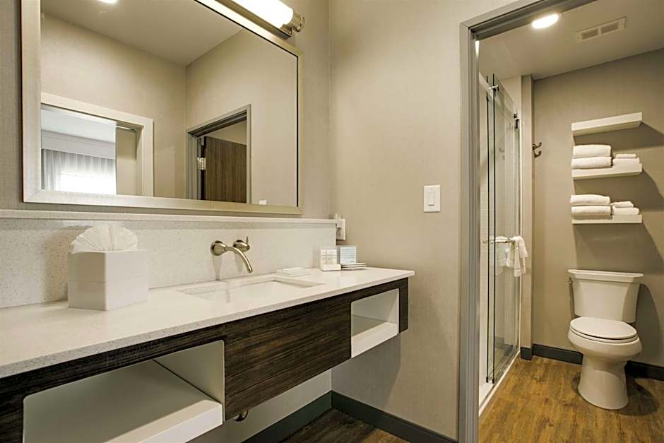 Hampton Inn By Hilton & Suites Dallas/Ft. Worth Airport South