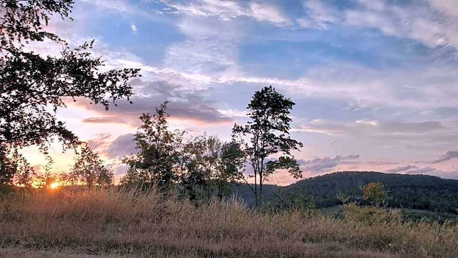 Landgasthof Steuber - Hotel garni