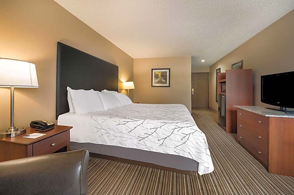 Best Western Park Oasis Inn